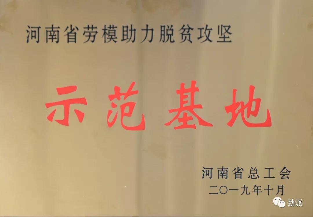 2019111294843584.jpg